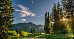 Green transition blocked by lack of partnership between industry and energy